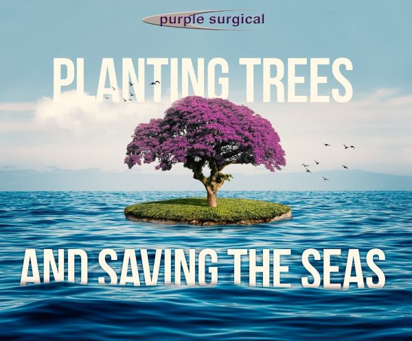 Planting Trees and Saving The Seas