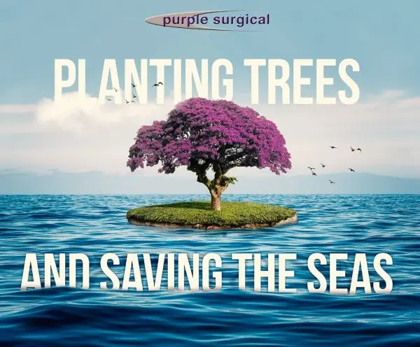 Planting Trees and Saving The Seas